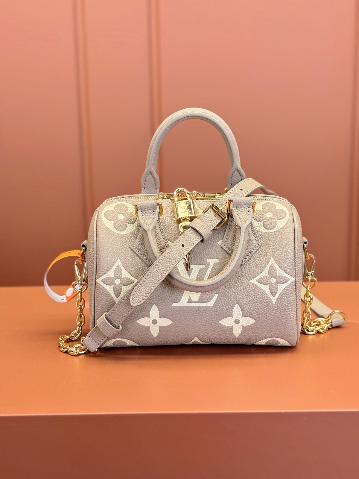 Speedy Bandoulière 20 Bag