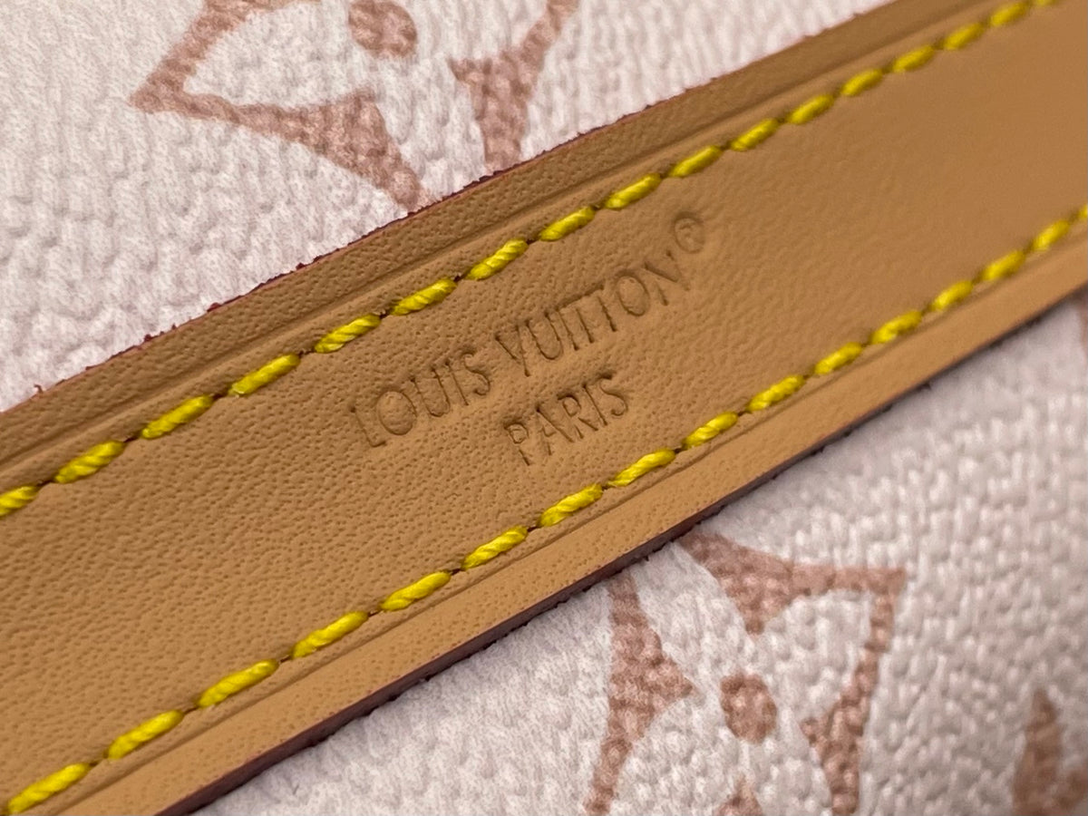 Multipass Bag