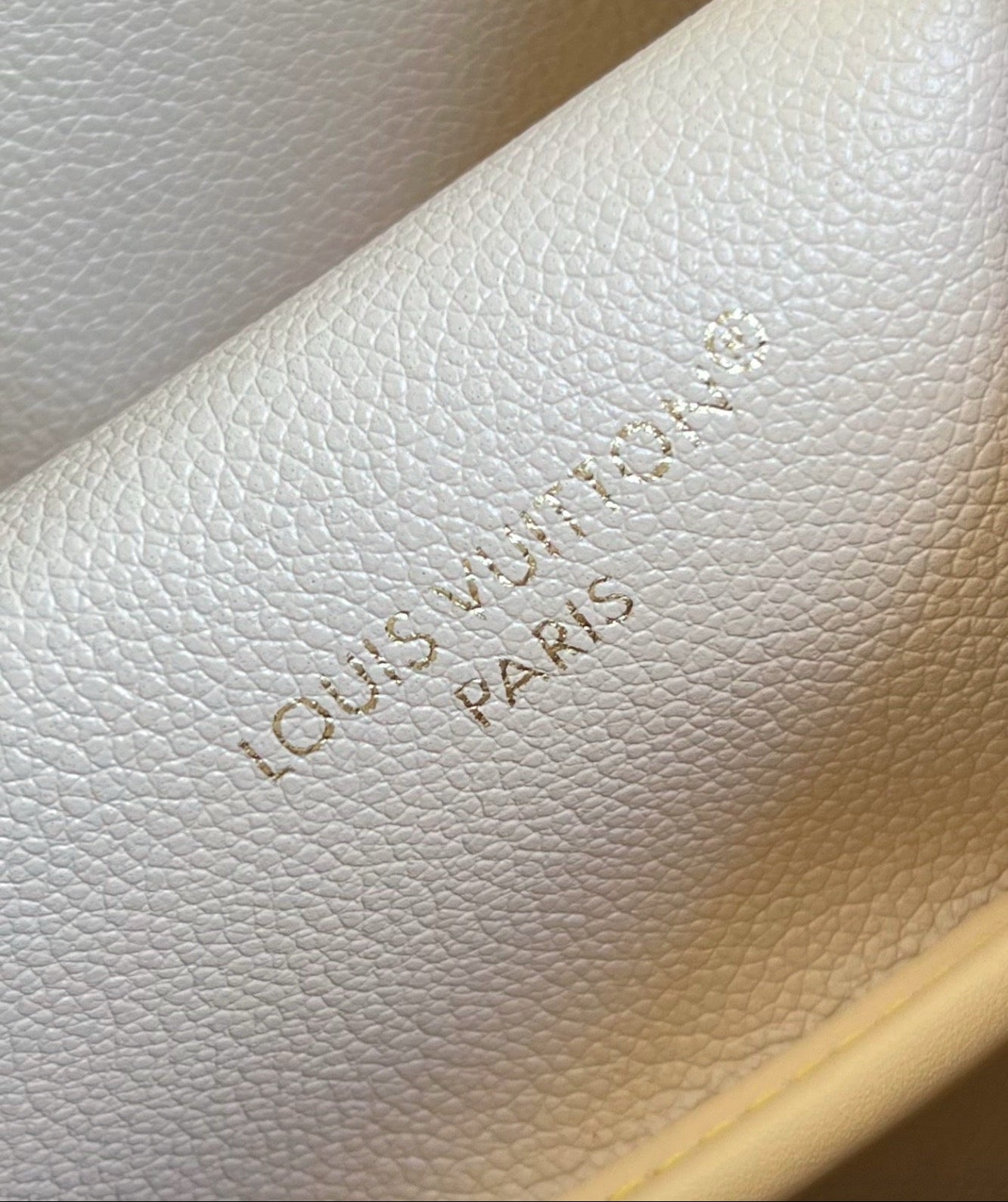 Neverfull Inside Out MM Bag