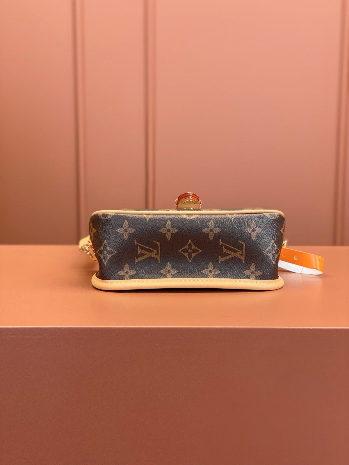 LV Nano Diane Bag