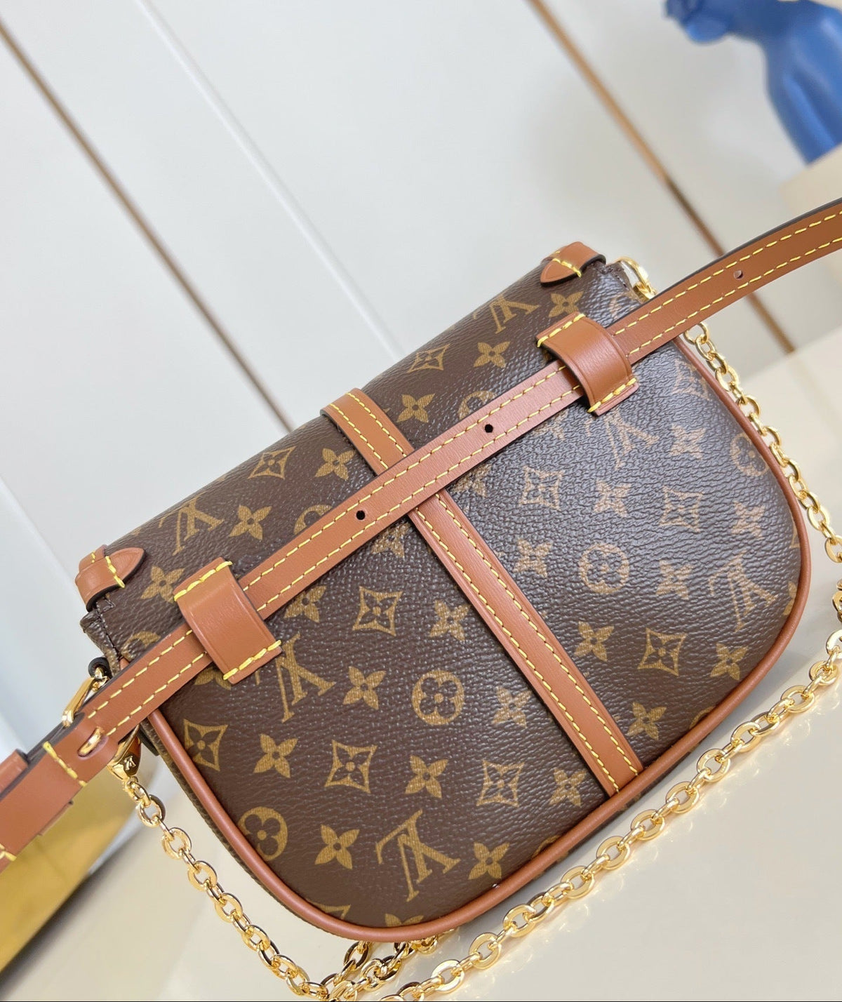 LV Solo Bag