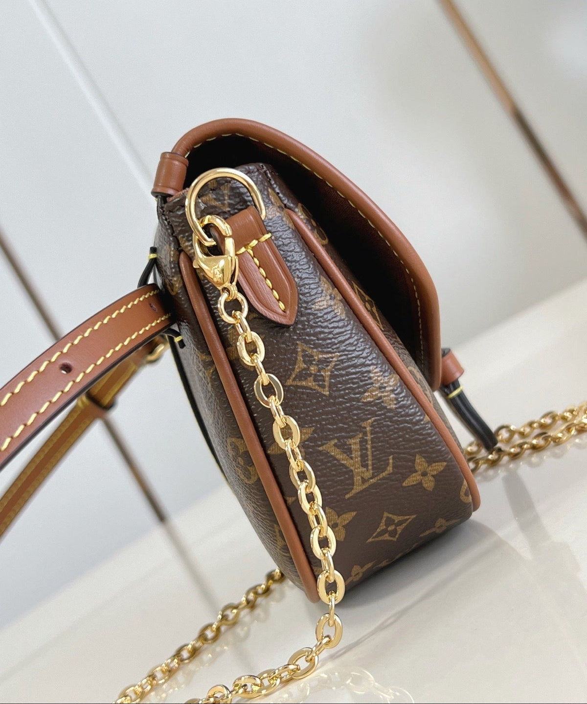 LV Solo Bag