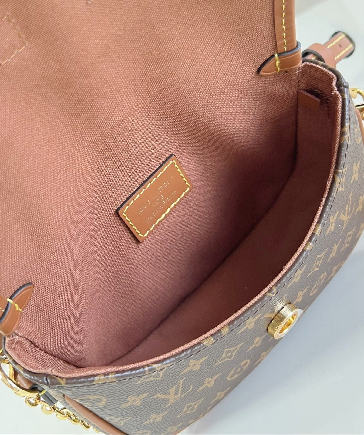 LV Solo Bag