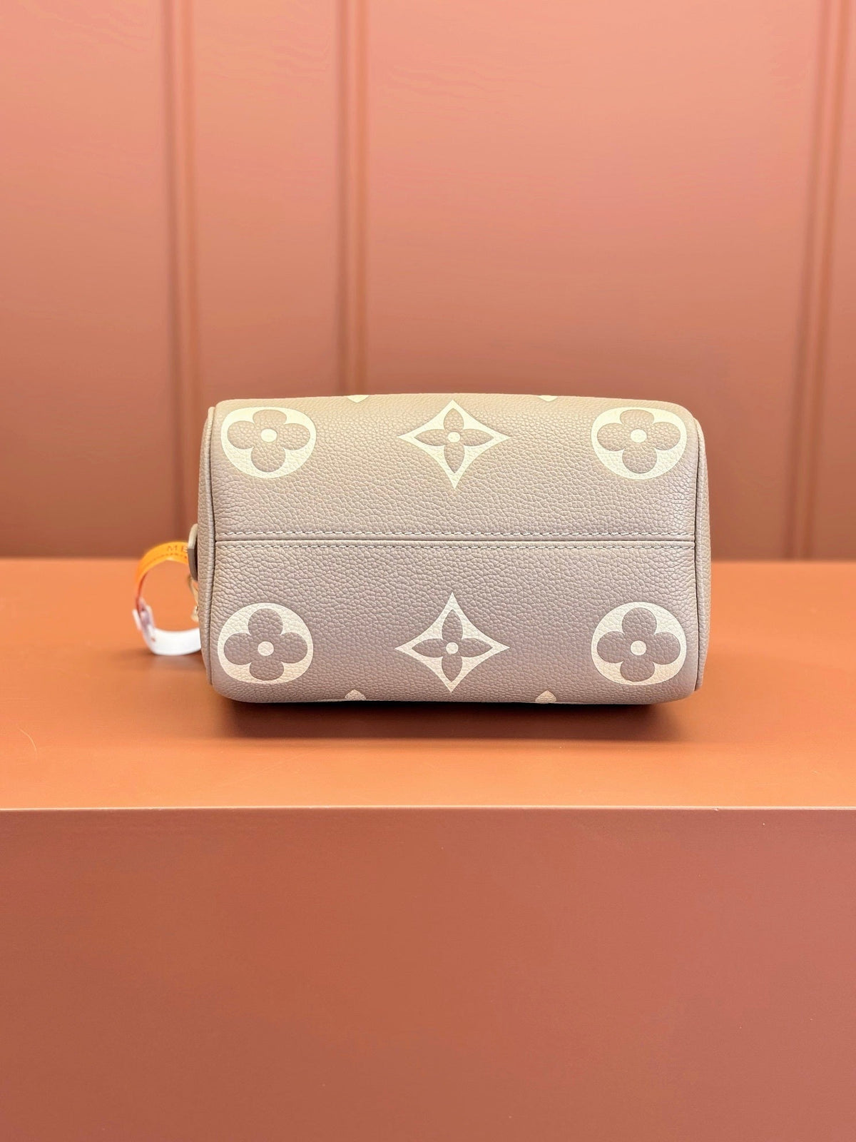 Speedy Bandoulière 20 Bag