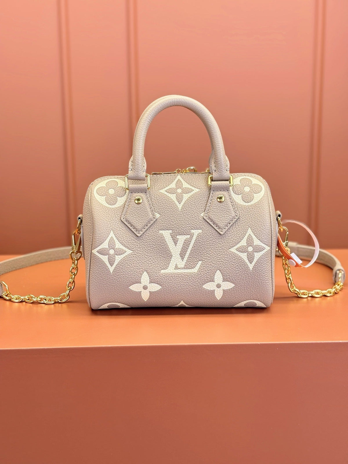 Speedy Bandoulière 20 Bag