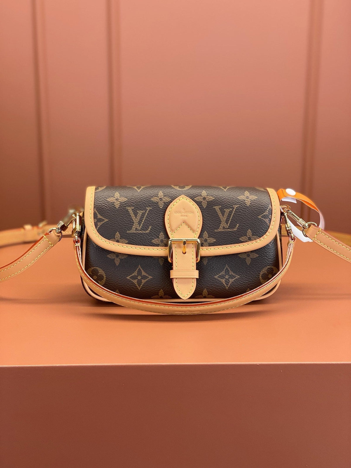 LV Nano Diane Bag
