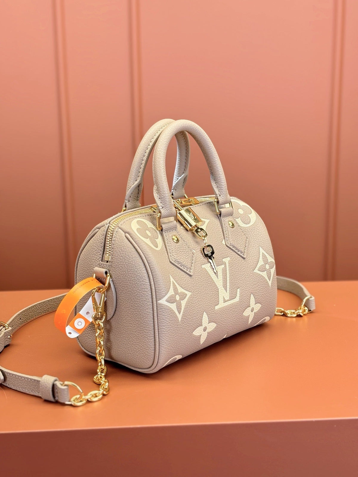Speedy Bandoulière 20 Bag