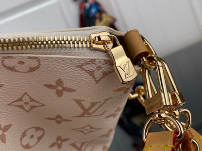 Multipass Bag