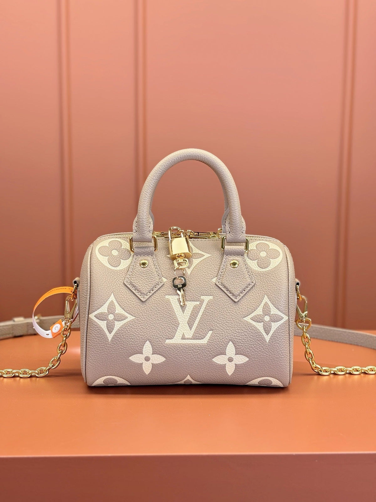 Speedy Bandoulière 20 Bag