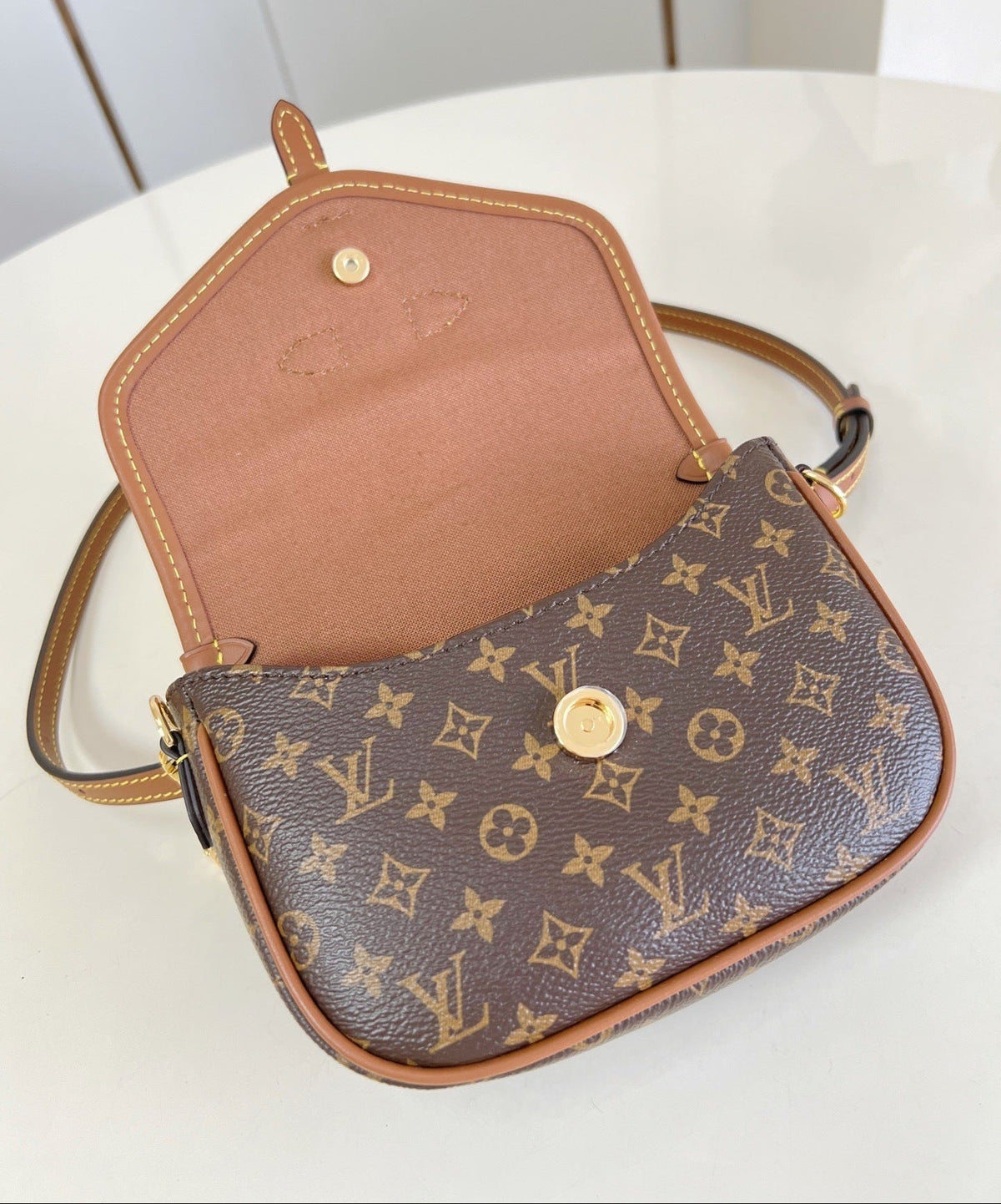 LV Solo Bag