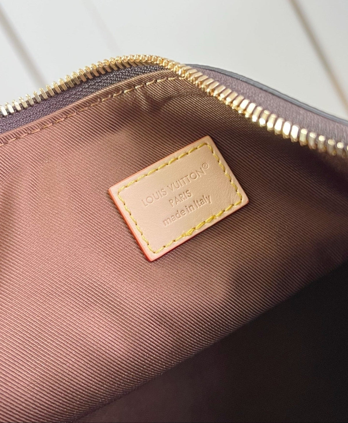 LV Multipass Bag