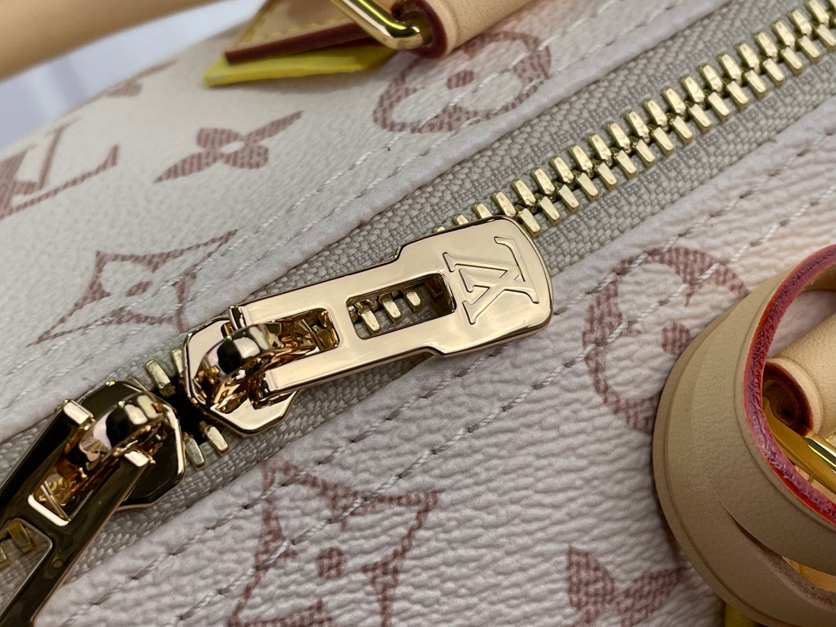 Speedy Bandoulière 25 Bag